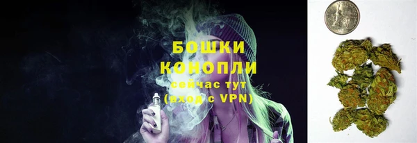 тгк Лиски