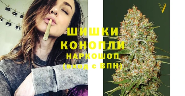 тгк Лиски