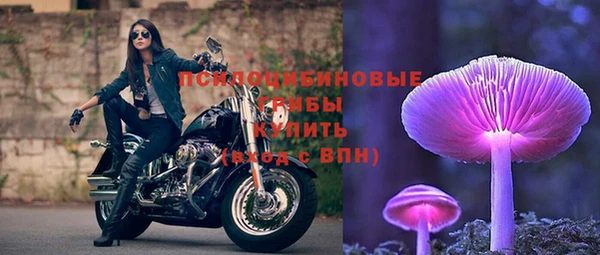 молекула духа Вязьма