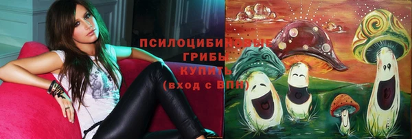 молекула духа Вязьма