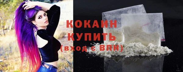 молекула духа Вязьма